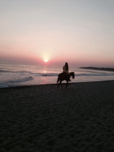Juli riding into the sunset
